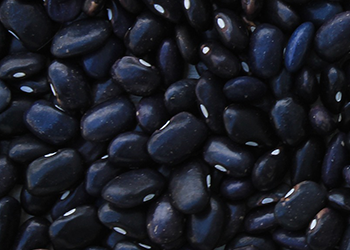 Black Beans