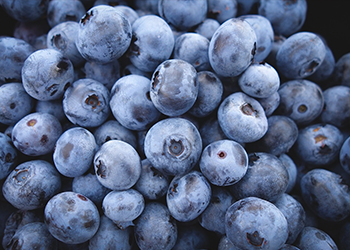 Fresh Local Picked BlueBerries