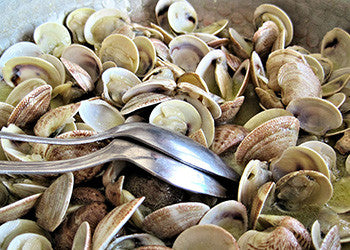July Special! Two Week Special! Clams
