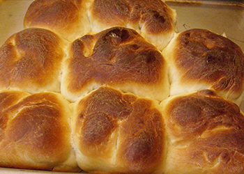 Dinner Rolls