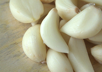 granulated Garlic