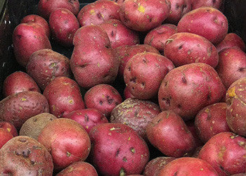 Red Potatoes